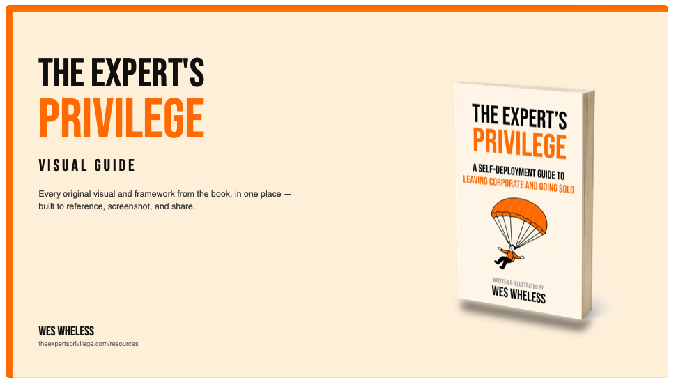 The Expert's Privilege Visual Guide preview